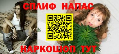 молекула духа Пугачёв