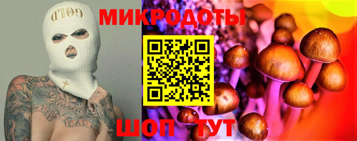 Галлюциногенные грибы Psilocybine cubensis Тара