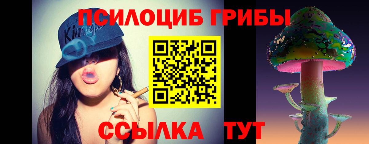 Тара  Псилоцибиновые грибы прущие грибы  даркнет сайт  Вход с VPN 